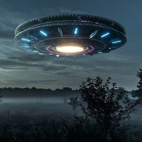 QG do POP tweet media