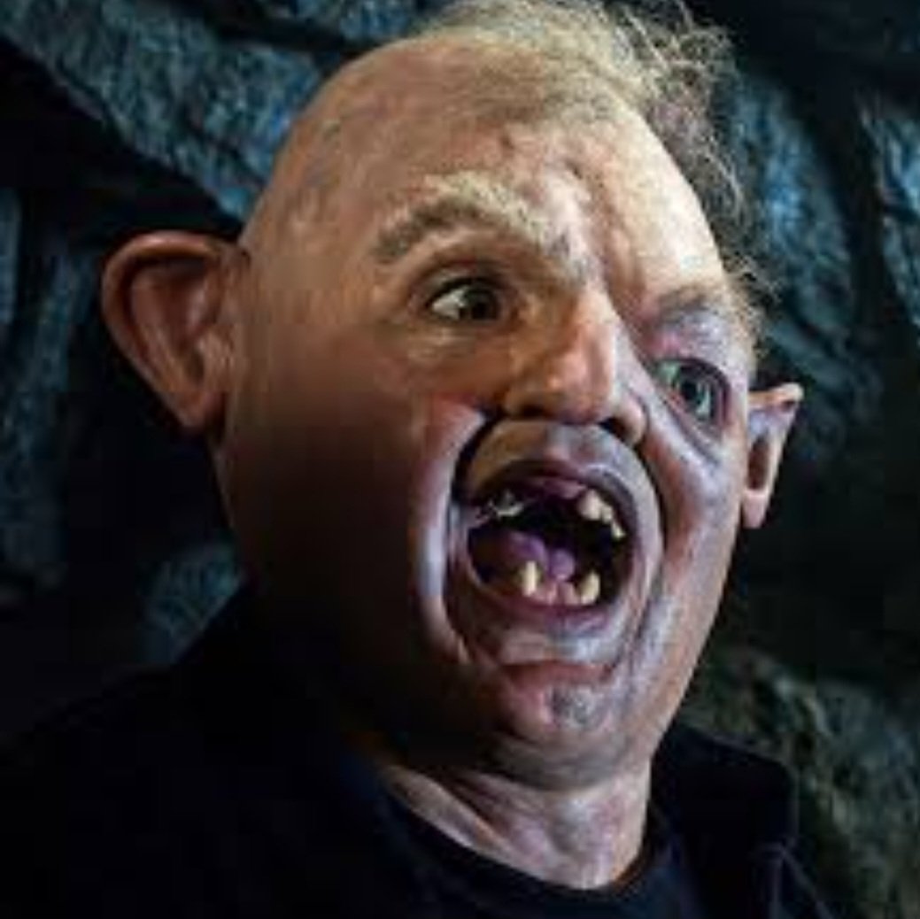 🍀Caperucita 🐱🐶🐦 tweet media