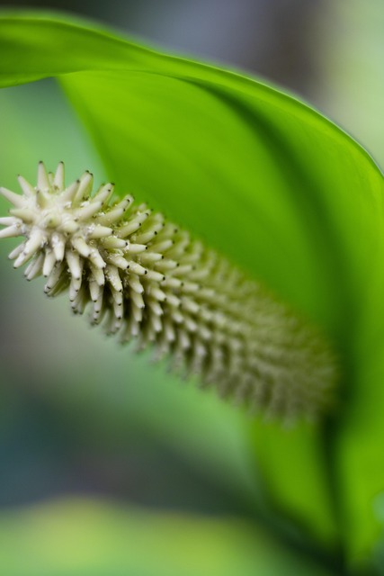 April Brown tweet media