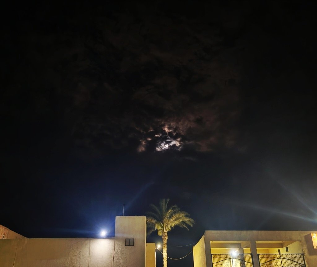 ..Salma .. tweet media