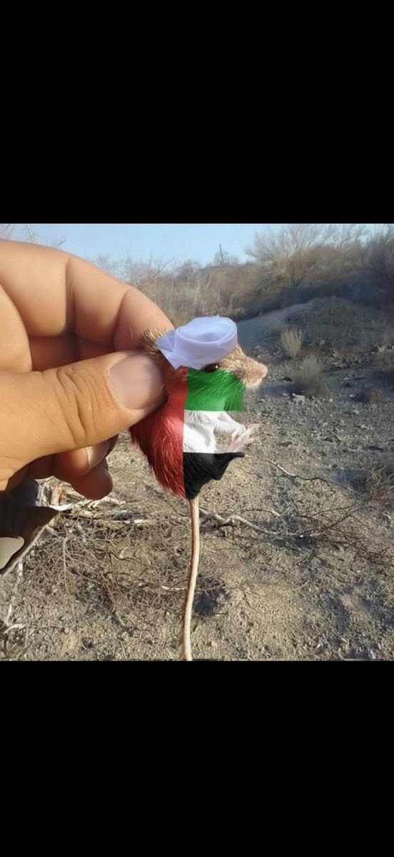 مستمع🇸🇦 .1 tweet media