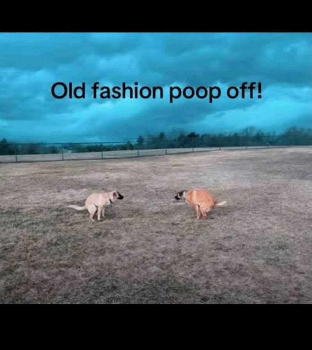 Sir Green Bean tweet media