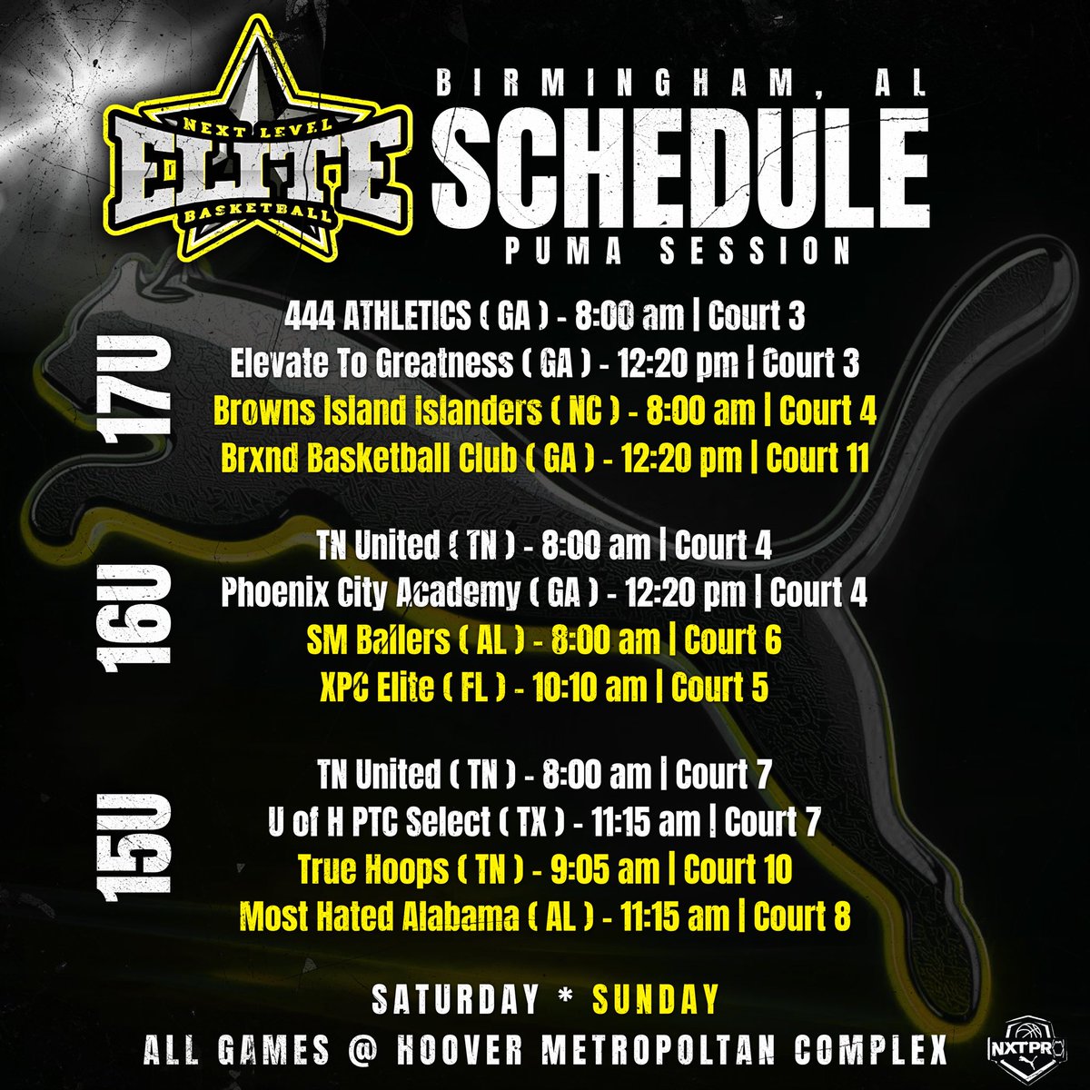 Next Level Elite tweet media