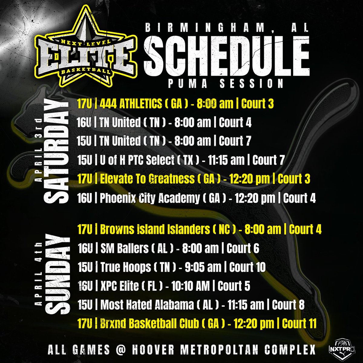 Next Level Elite tweet media