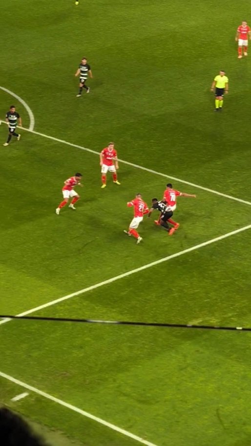 Tomás 🏆🏆 tweet media