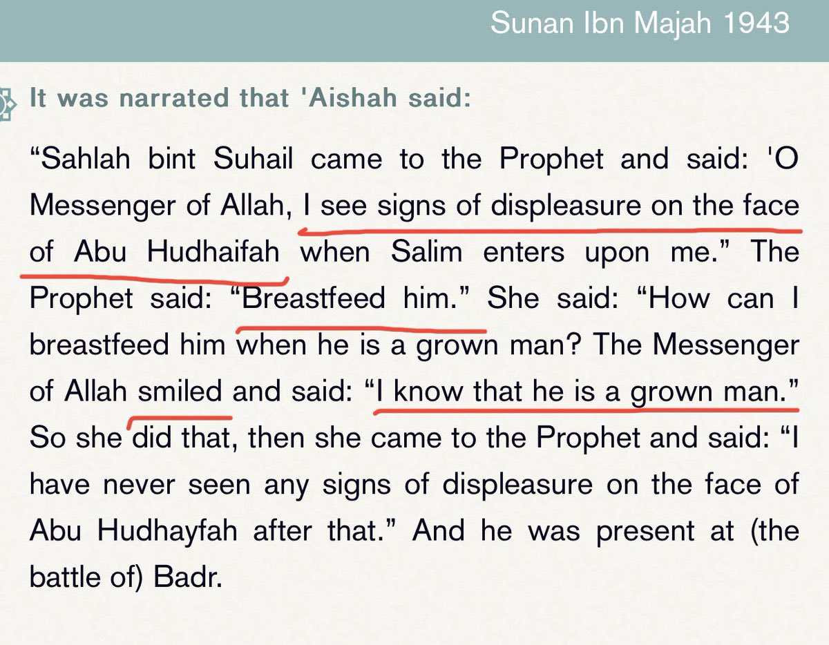 Turcopole tweet media