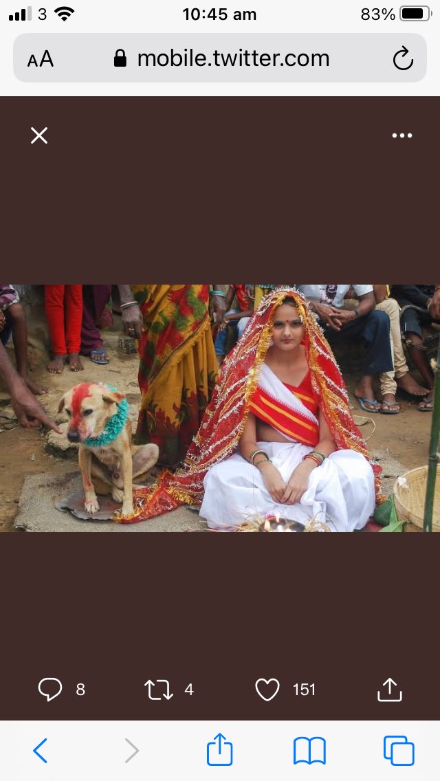 Foster Twelvetrees tweet media