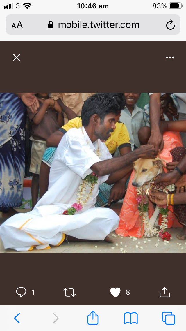 Foster Twelvetrees tweet media