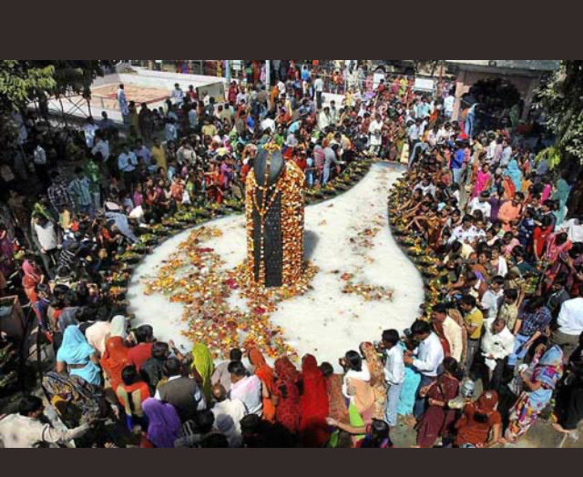 Foster Twelvetrees tweet media