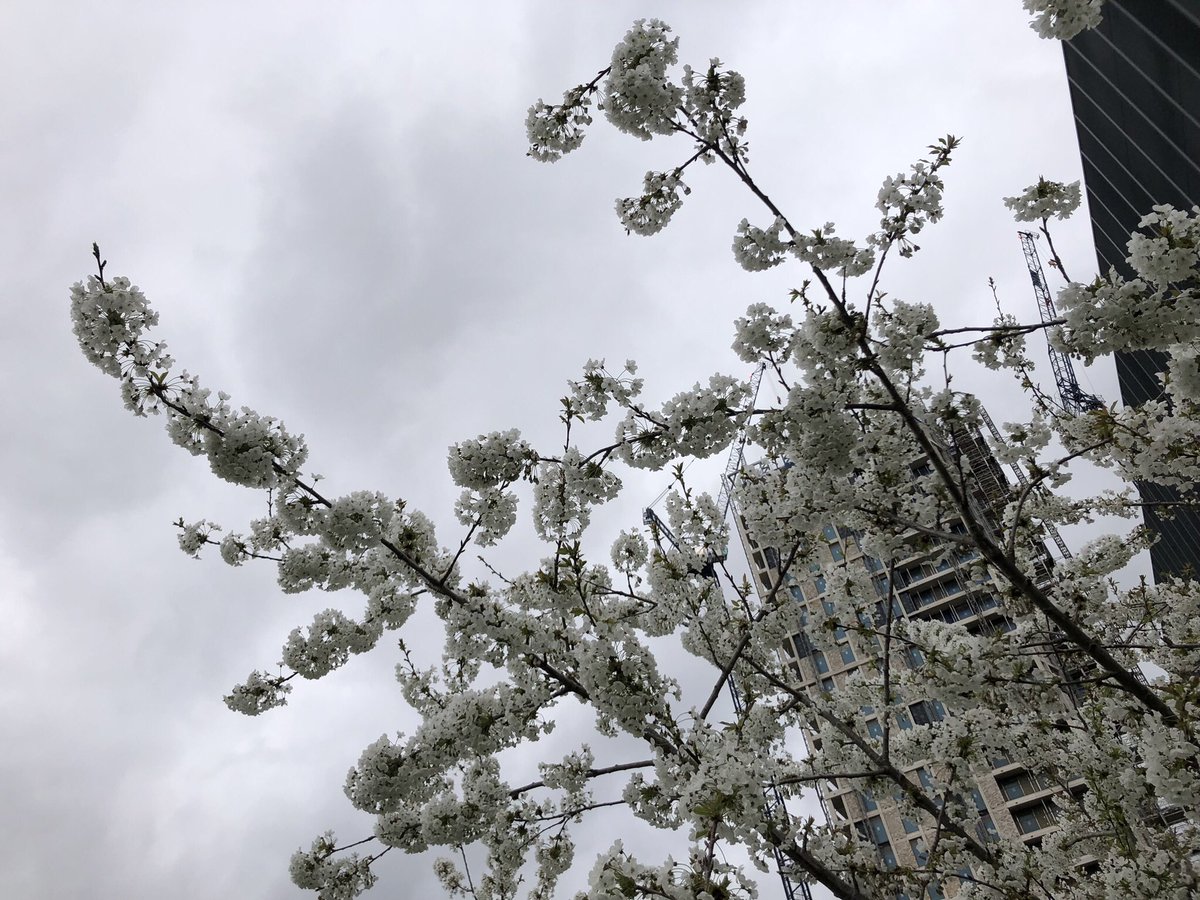 Jude obscura tweet media