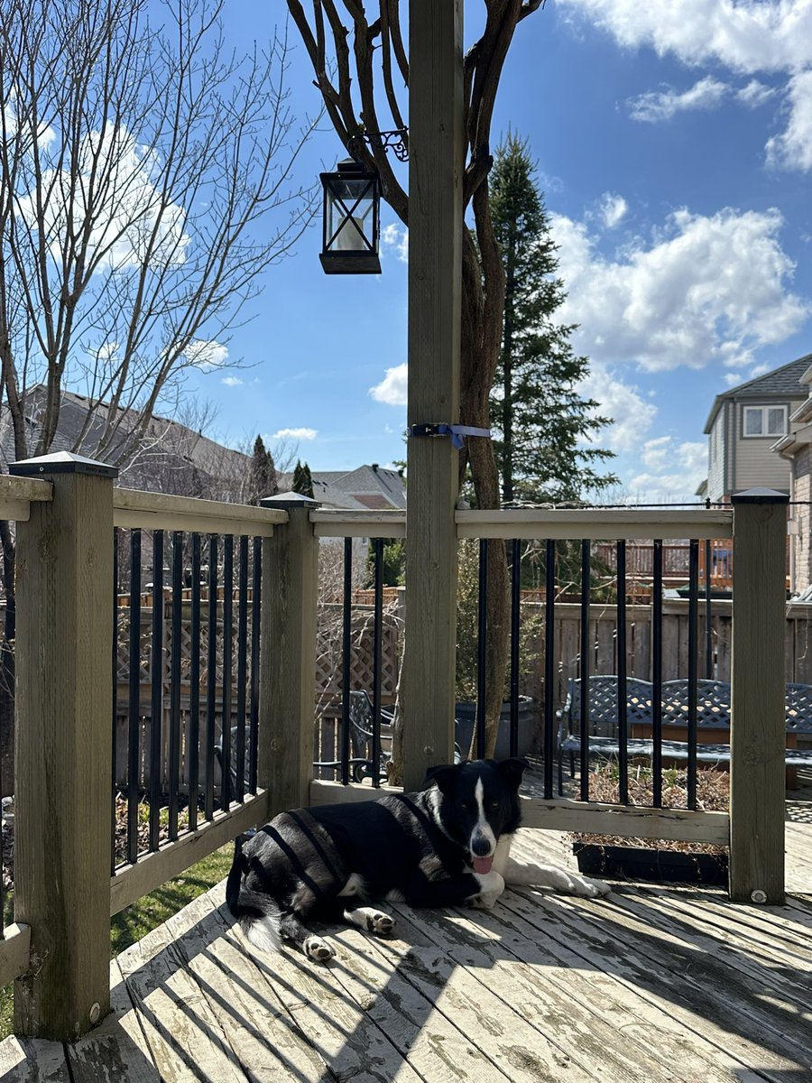 Christopher Pudel 🇨🇦🇺🇸🏳️‍🌈 tweet media