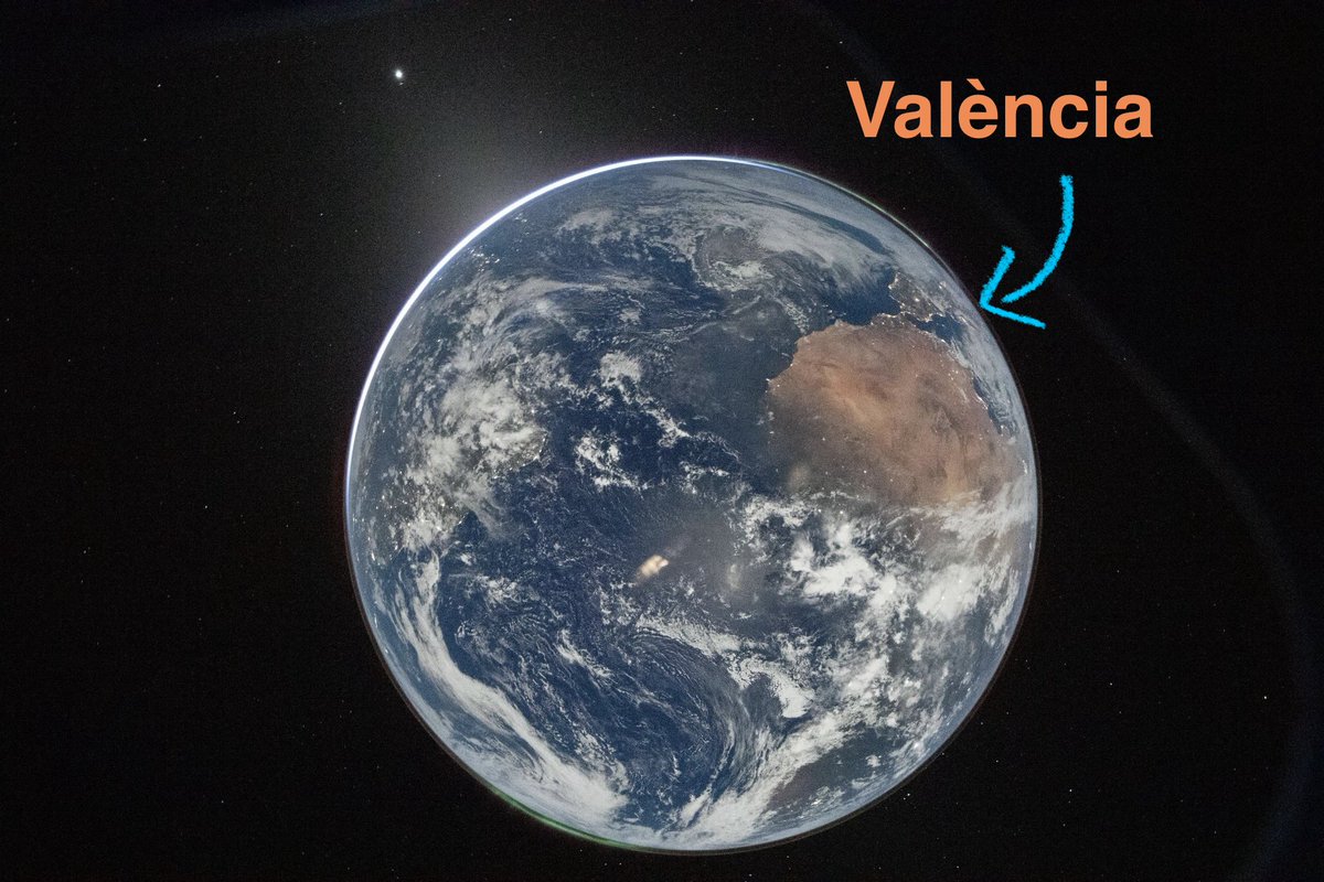 Joan Ribó tweet media