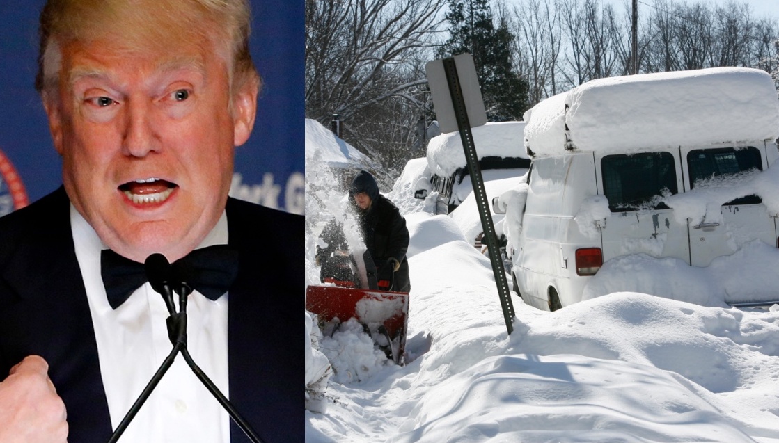 Occupy Democrats tweet media