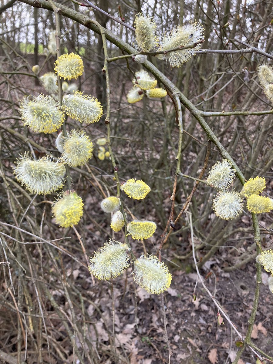 Magdalena #SilniRazem 🇪🇺 tweet media