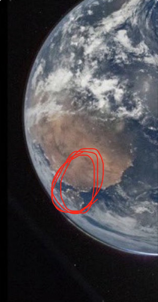 Dustin Harris tweet media