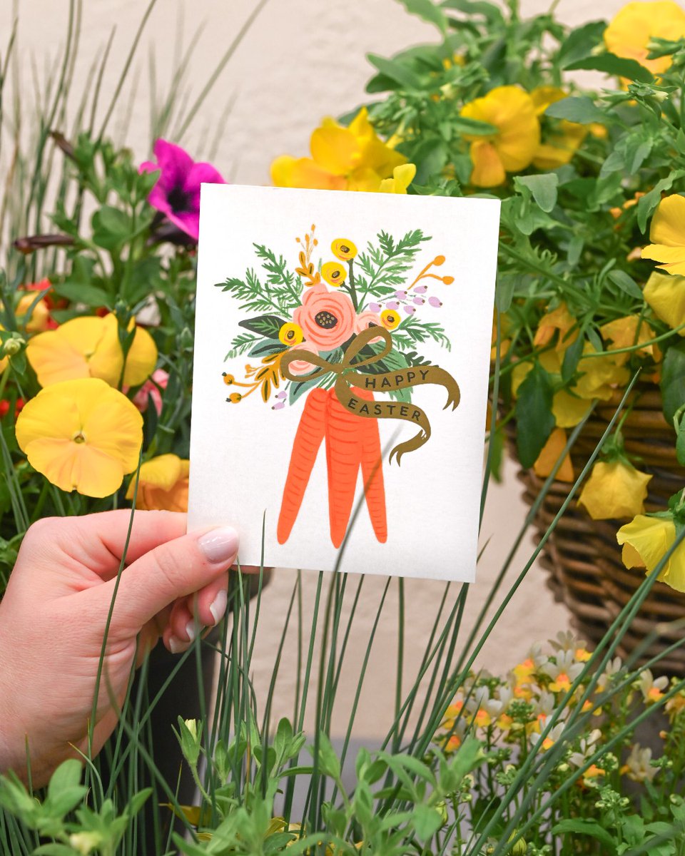 Mulhalls's tweet image. Easter is this Sunday 🐣

Still pulling everything together? We’ve got what you need – baskets, table details, wreaths, and fresh color for your porch.

We’re open until 6p on Sunday.

#mymulhalls #easter #easterprep #easterdecor