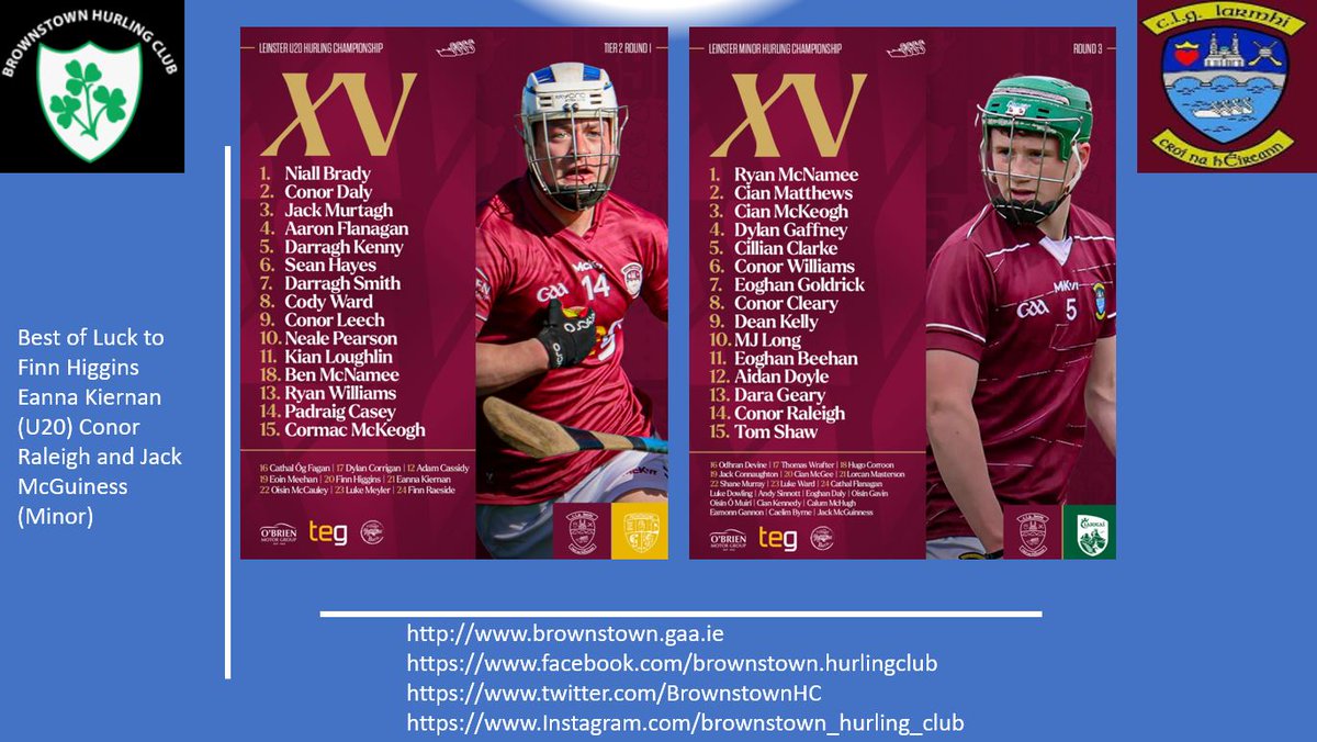 Brownstown Hurling Club tweet media