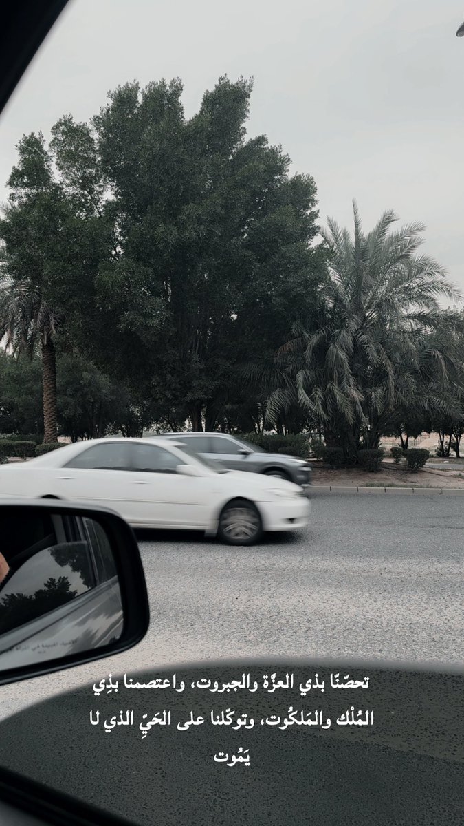 A⃣𝘮 𝘢 𝘭 🌿 tweet media