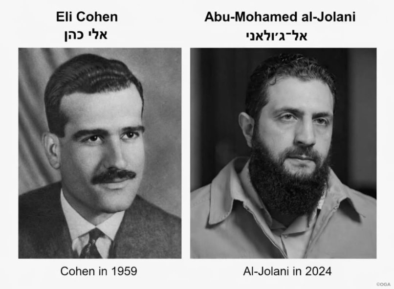 سعيد محمد tweet media