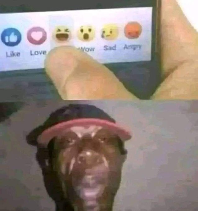 Dawn ★彡 🇵🇸 tweet media