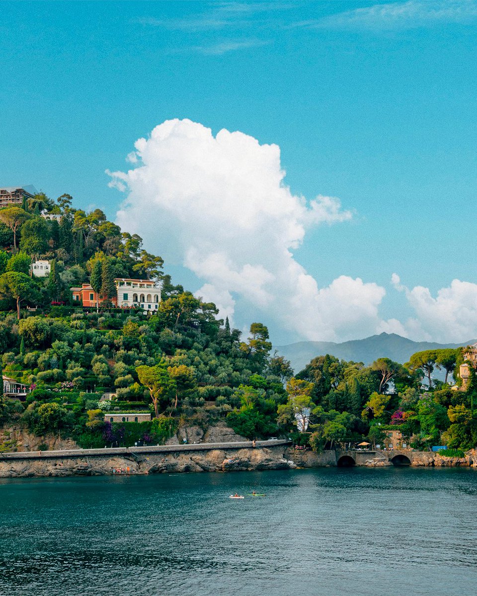 Gitmeliyiz tweet media