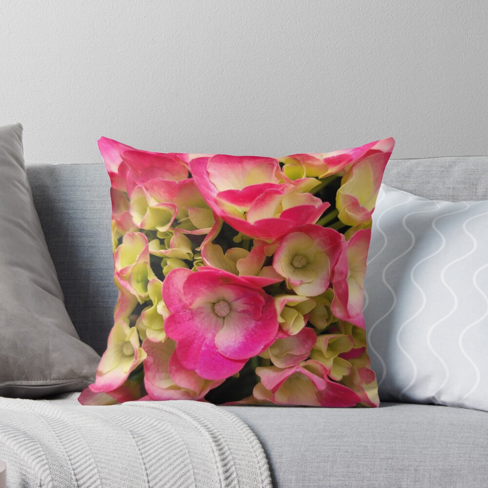 Veves_Place's tweet image. Photographic print of Hydrangeas on a pillow🌸

 #RBandME:  redbubble.com/i/throw-pillow… #findyourthing #redbubble 

#hydrangeas 
#pinkhydrangeas 
#flowers 
#hydrangealovers 
#flowerlovers