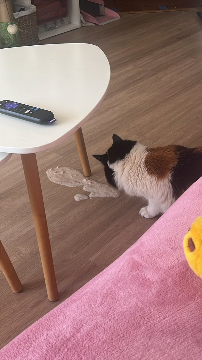 nube ໒꒱ ‧₊˚ tweet media