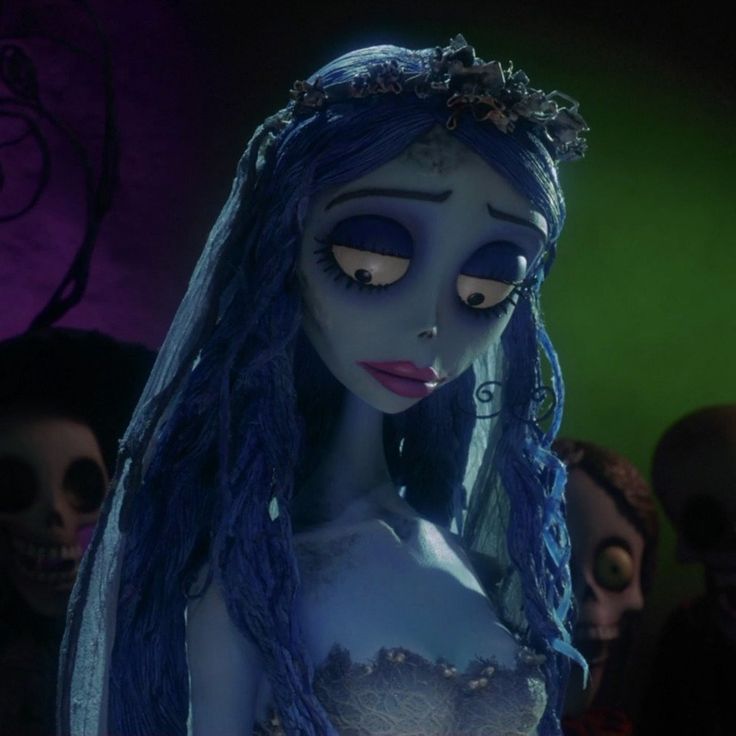 Nova💥 tweet media