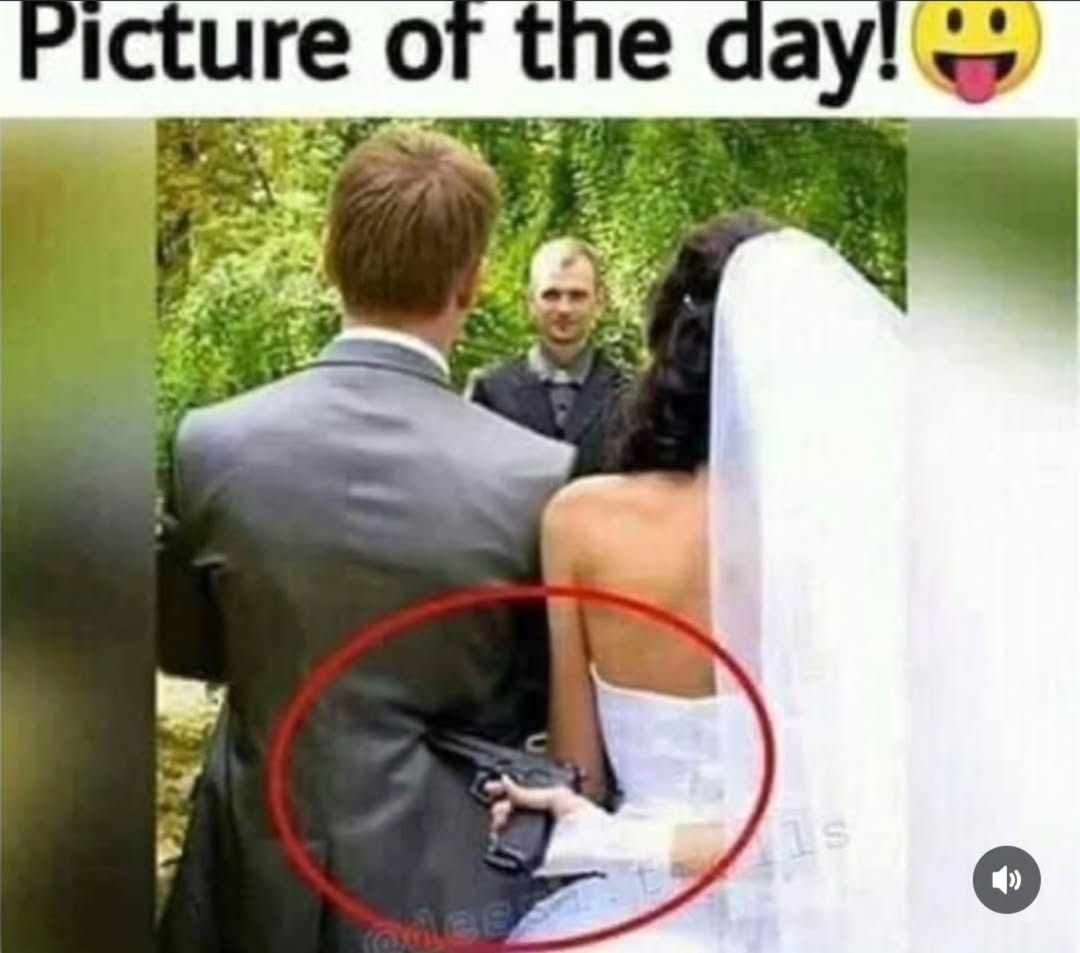 LAnDo NIFFIRG™️🇨🇦 tweet media