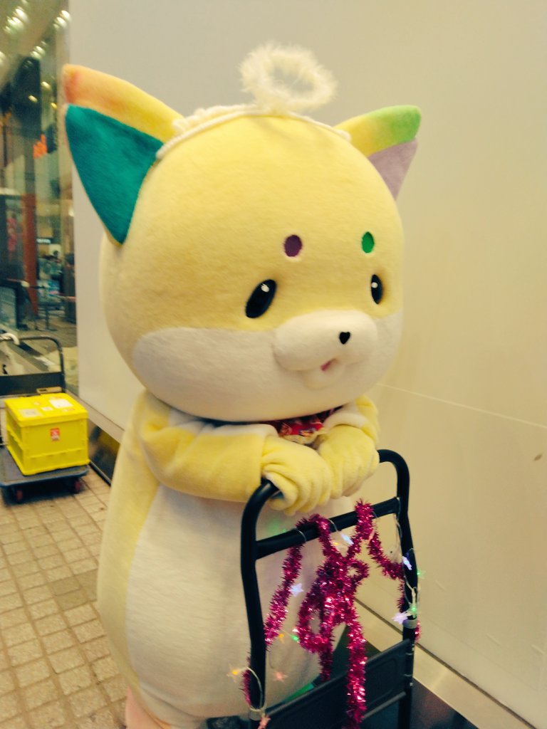 こっこ☆ tweet media