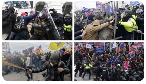 trump loves morons for a reason. tweet media