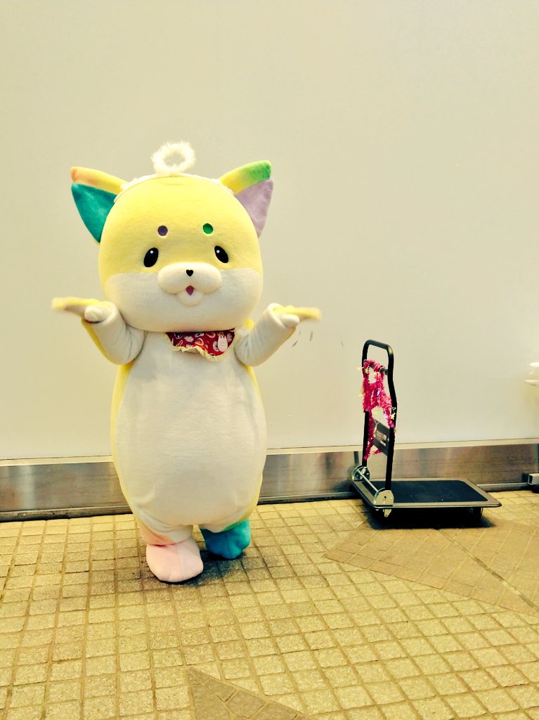 こっこ☆ tweet media