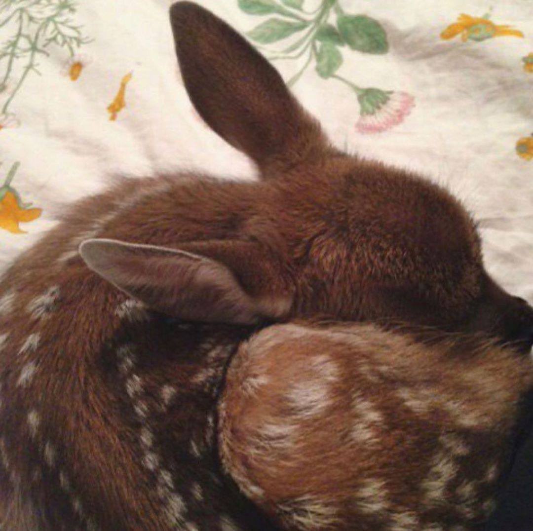 𝙱𝙰𝚁𝚄𝙳✖️ tweet media