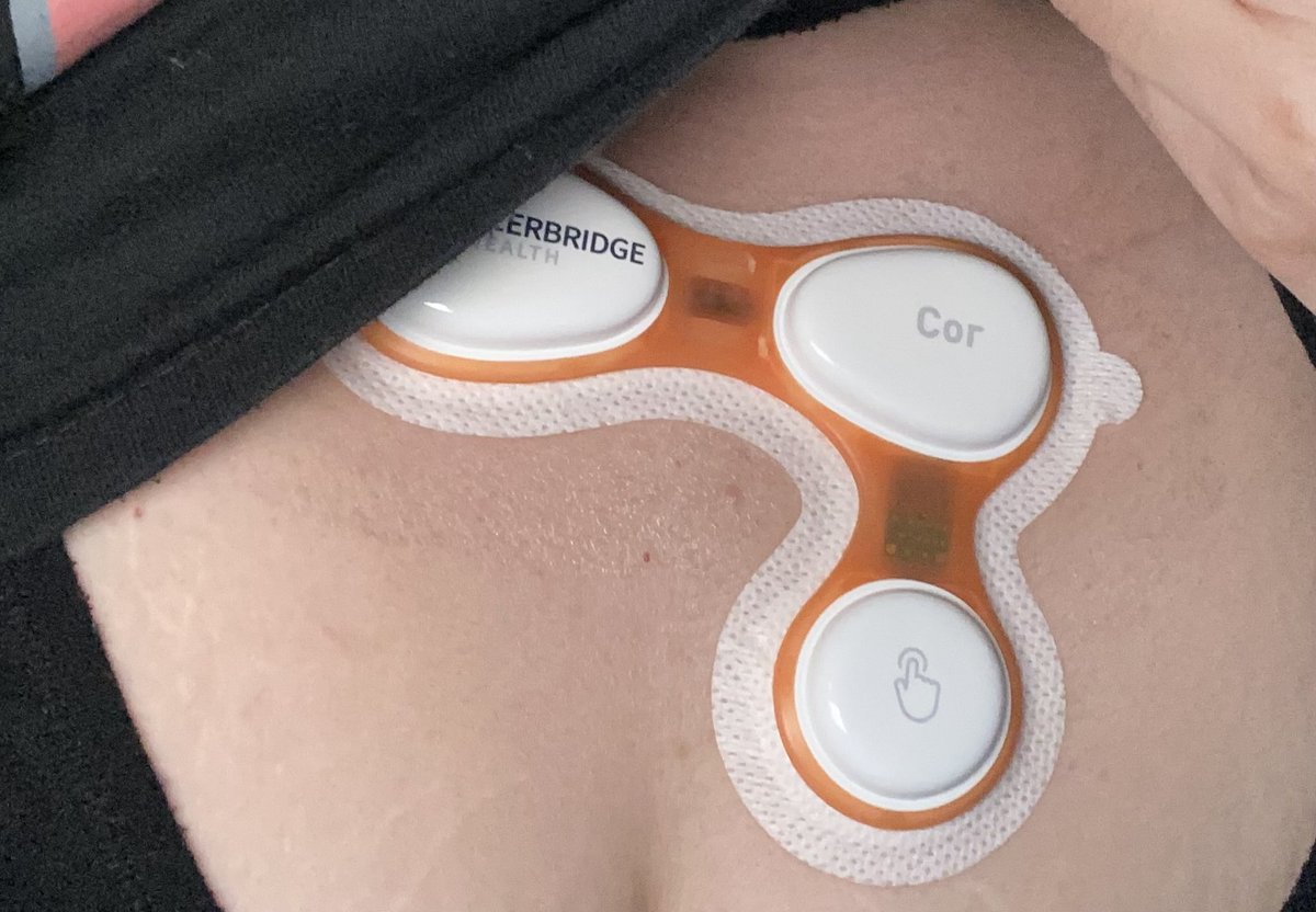 Steph ˚ʚ♡ɞ˚ tweet media