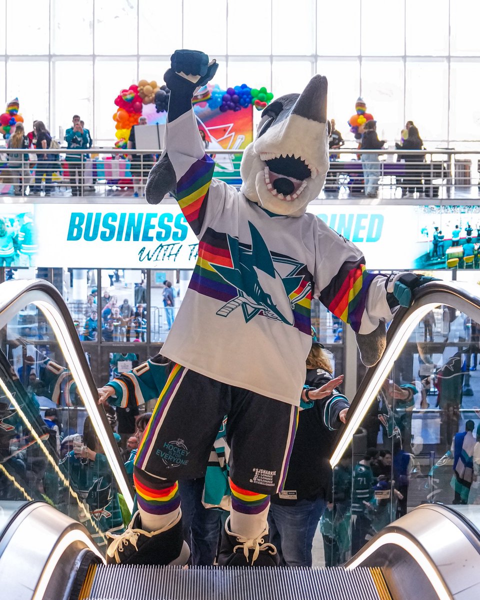 #SJSharkie tweet media