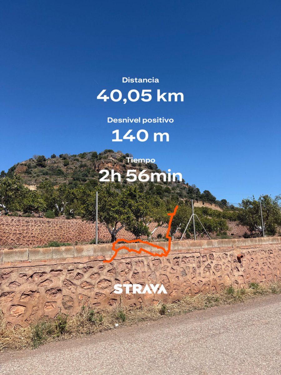 Анастасия tweet media