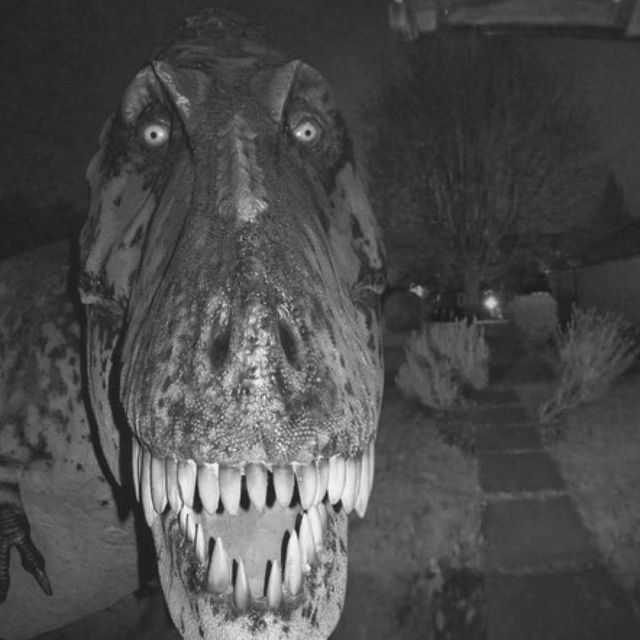 ﹕ 𝑳𝙐𝙄𝙎 ︵ 𝘚𝘌𝘙𝘙𝘈 〃 tweet media