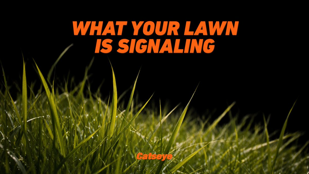 Your lawn isn’t just growing… it’s signaling. 🐭

Thick grass = cover
Debris = shelter
Moisture = longer activity
Edges = where movement happens most

It starts outside, quietly… then works its way in.

What you fix outside prevents what gets inside. 👀
bit.ly/4rQ45bh