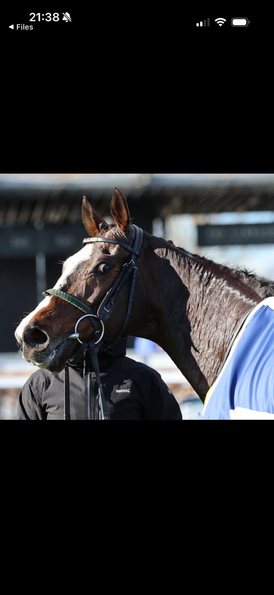 Emma Connolly tweet media