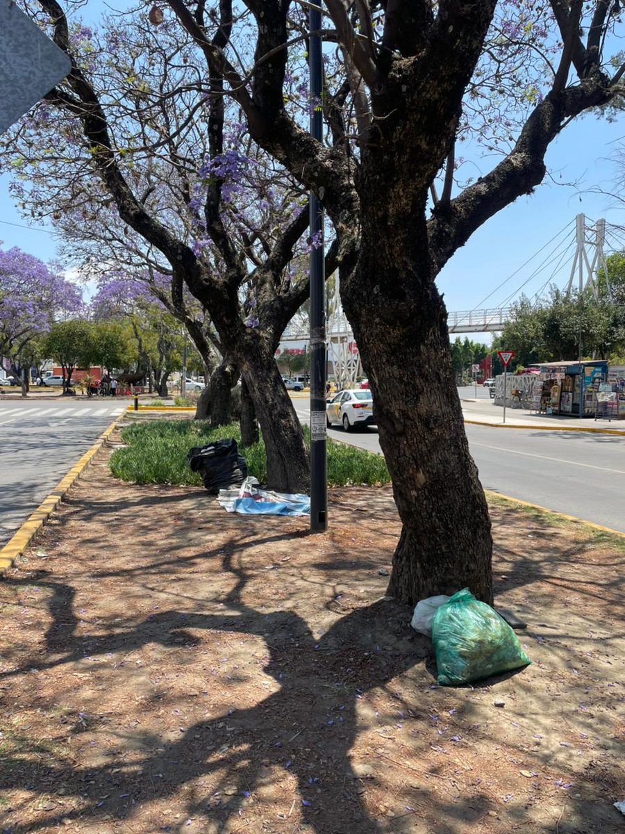 Primera Plana Puebla tweet media