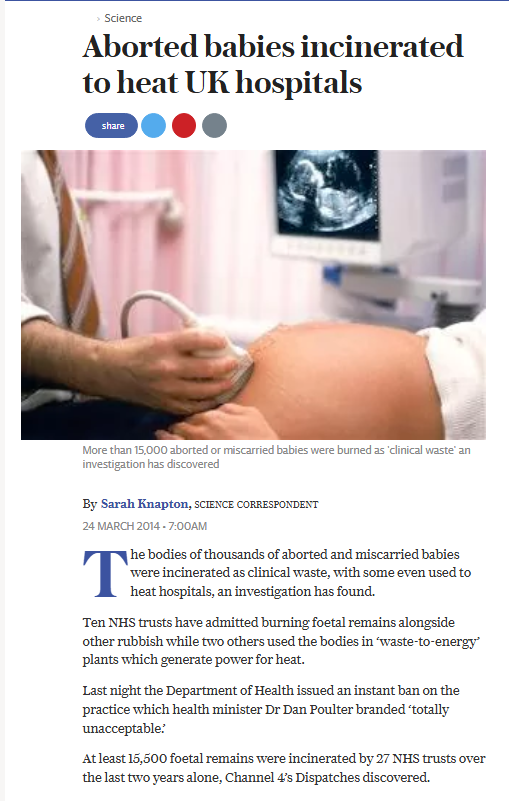 Basil the Great tweet media