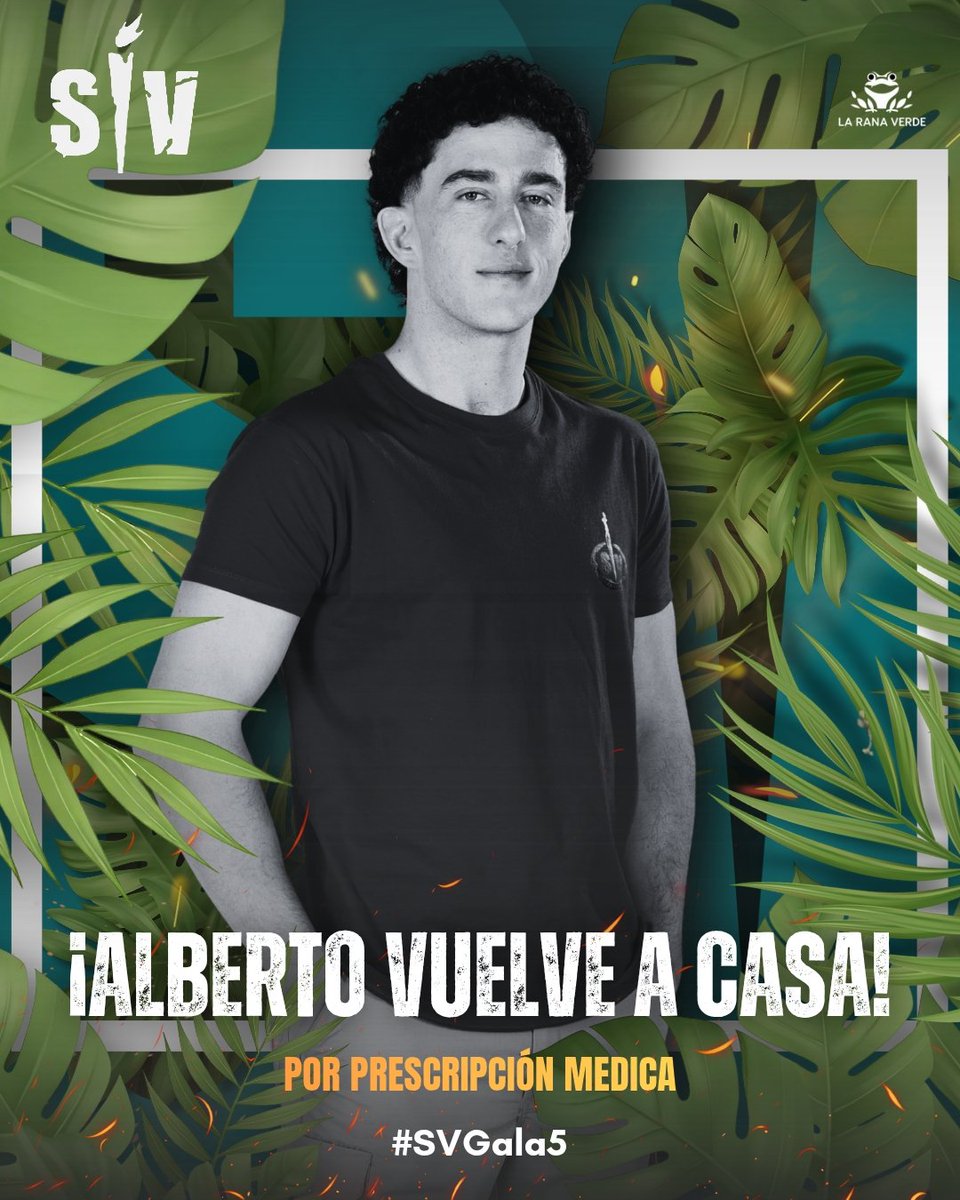 La Rana Verde tweet media