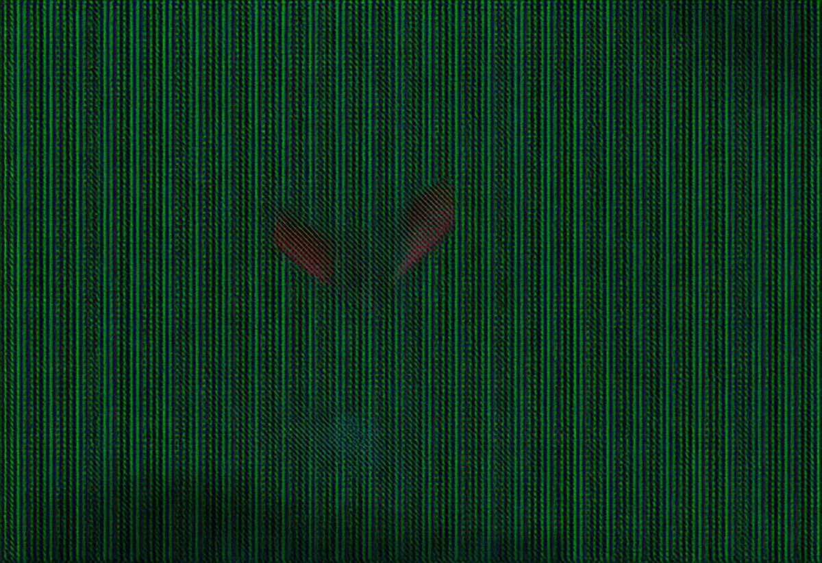 わっふるおんおんお tweet media