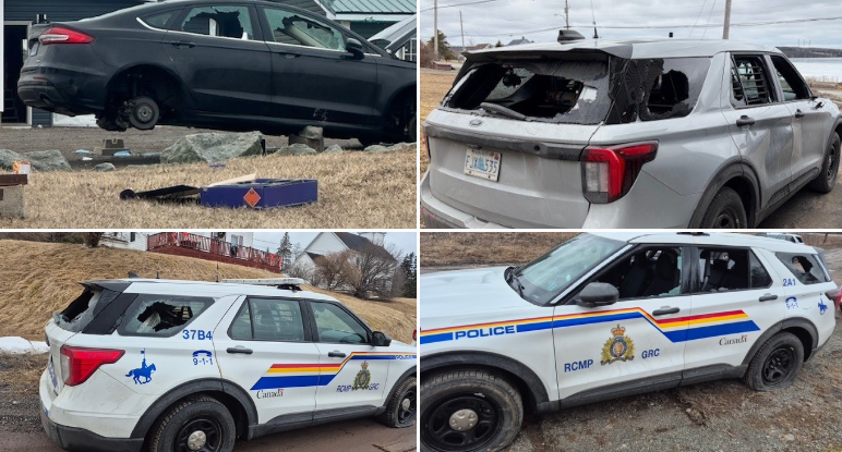 Dean Skoreyko tweet media