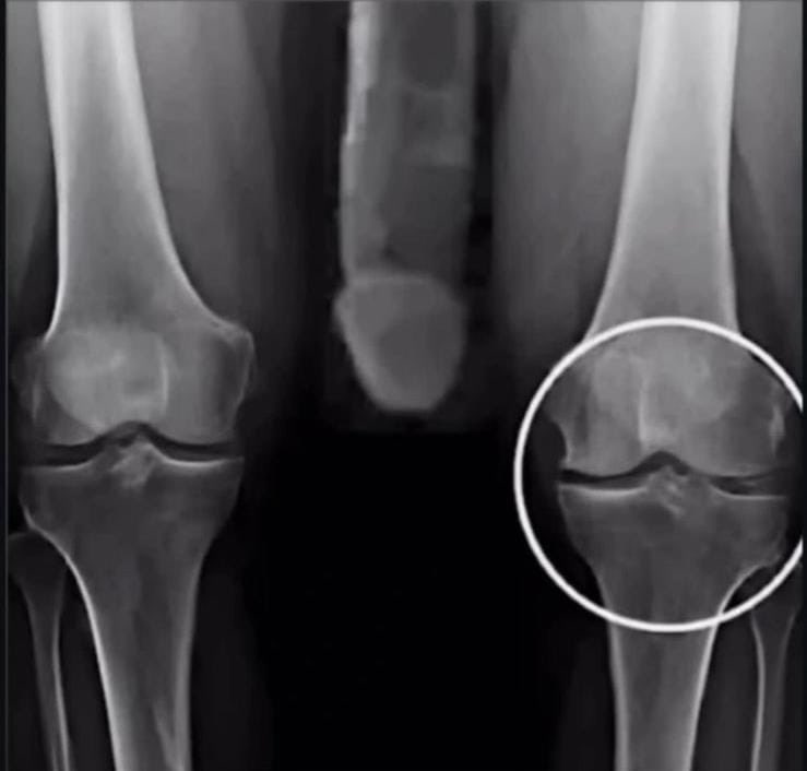 Brooklyn Guy tweet media