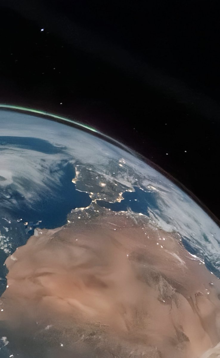 𝑵𝒐𝒓𝒕𝒉 | inês cross 🦐 tweet media