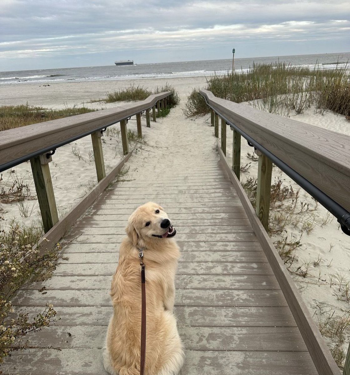 โโ โโ ๐ ๐ฏ๐จ๐พ๐ฒ๐ฎ๐ผ๐.ยทห tweet media