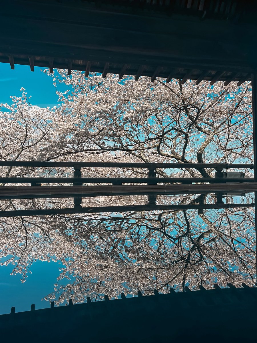 女忍者さや𓇳 𓇼 tweet media