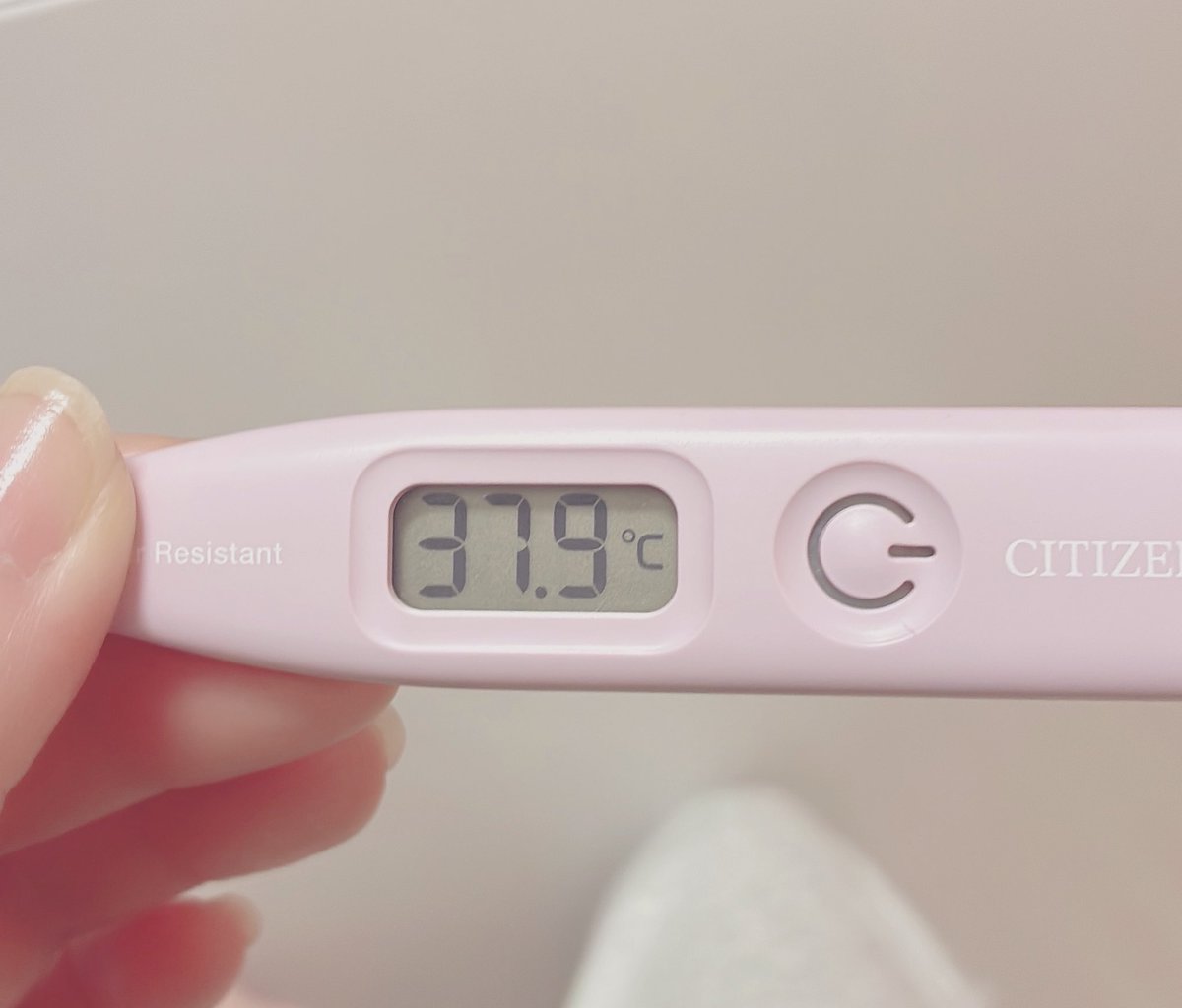 𝓂ℴ𝒻𝒻𝓊 tweet media