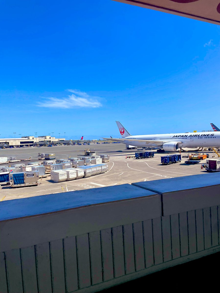 ゆうき@挑戦の申し子(小幡祐己) tweet media